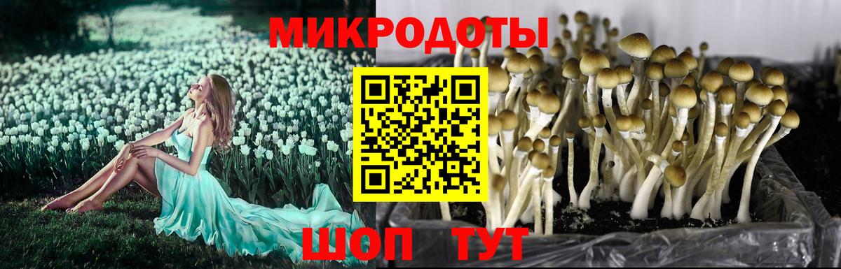 Галлюциногенные грибы Cubensis  Псилоцибиновые грибы мухоморы  Мытищи  Вход с VPN 